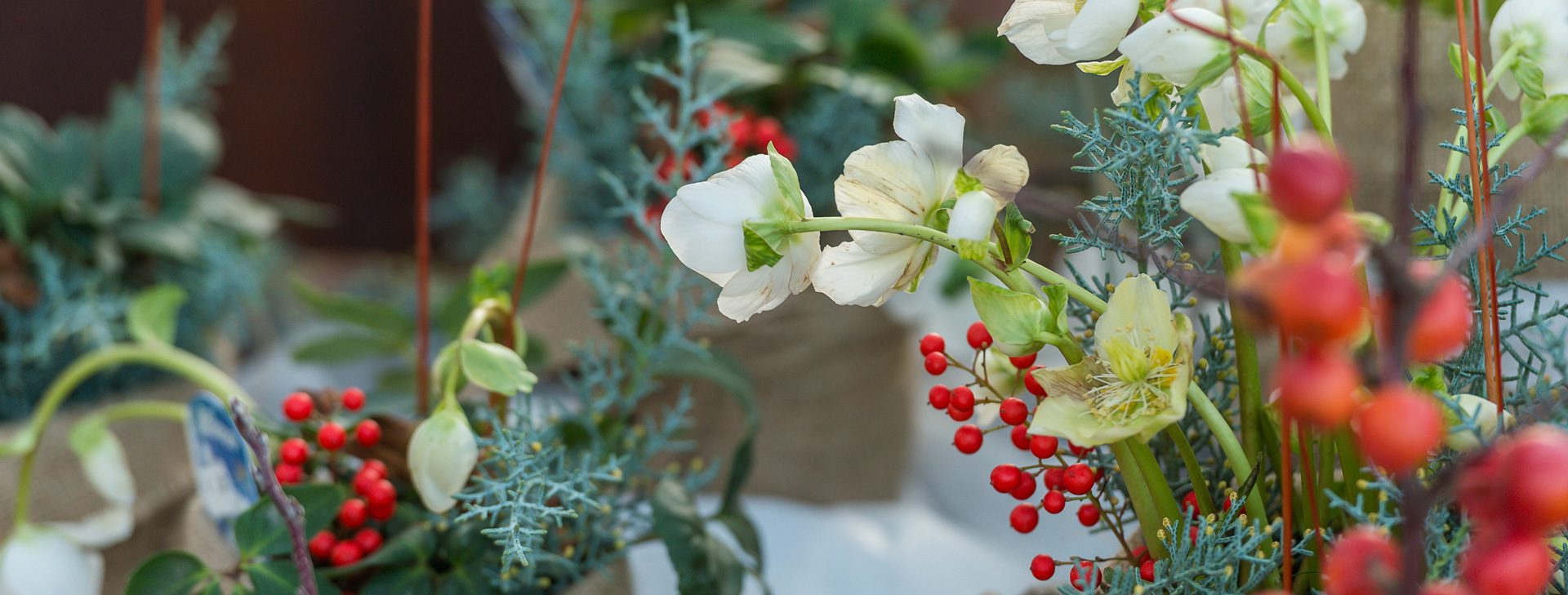 Hochsaison der Eisblumen